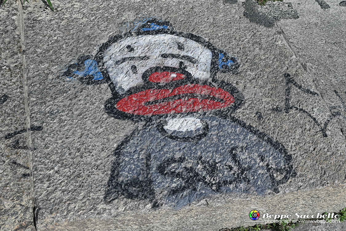 VBS_3630 - Angoli del Valentino lungo il Po.jpg